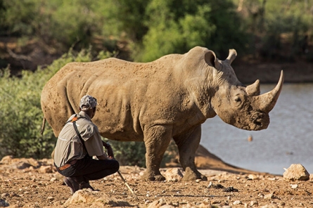 Mount Etjo Rhino Tracking Activity Mount Etjo Rhino Tracking Activity